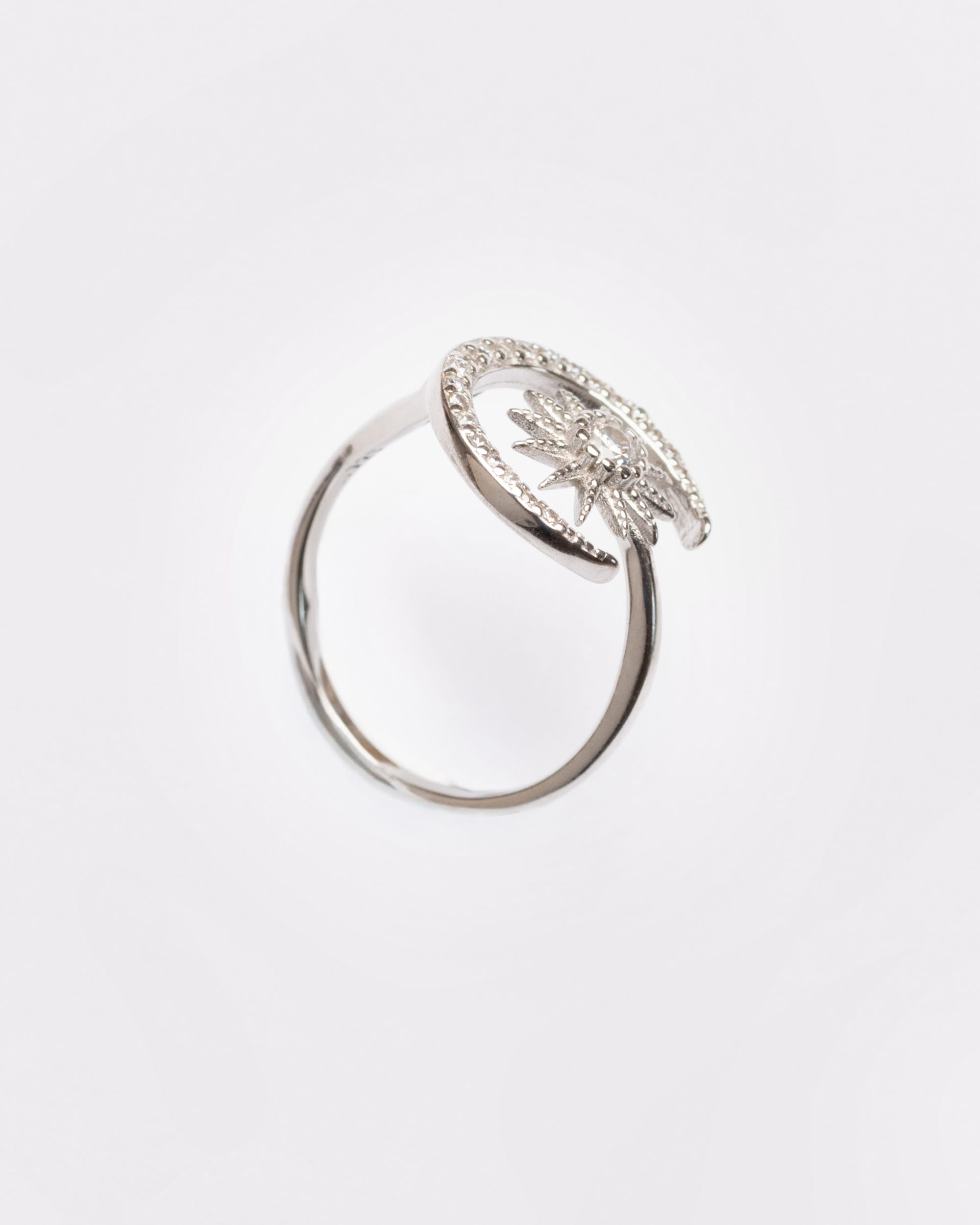 The Starlit Ring